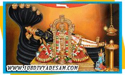 chola nadu divya desam tour packages from hyderabad